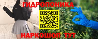 прущие грибы Бузулук