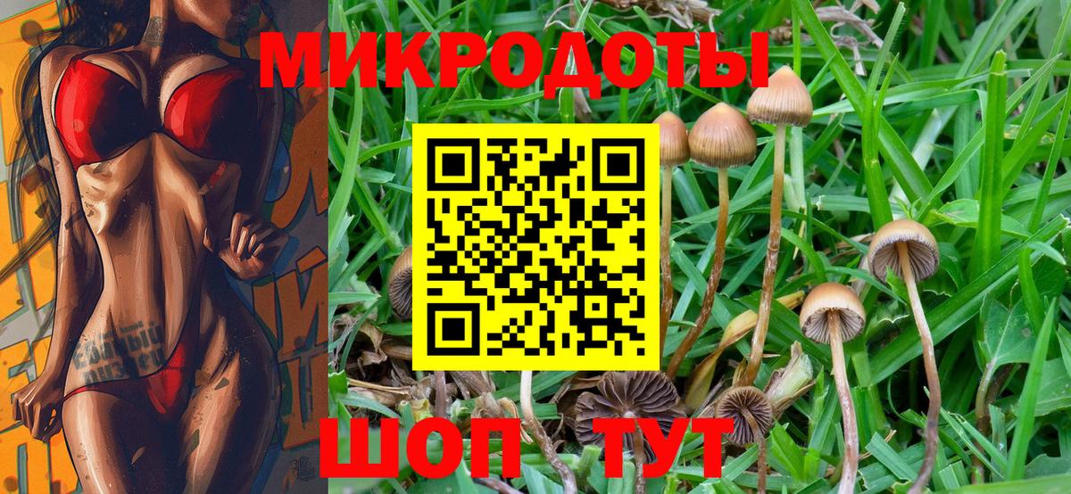 Новодвинск  Галлюциногенные грибы Psilocybine cubensis  Вход с VPN 